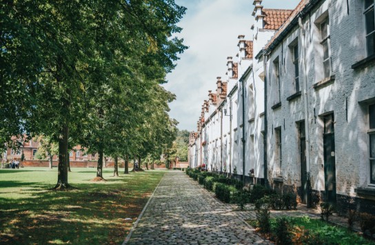Een rustige straat met een rij witte, oude huizen aan de rechterkant en een groen grasveld met bomen aan de linkerkant, onder een partly bewolkte hemel. De straat is geplaveid met kasseien en er staan kleine struiken langs de huizen.